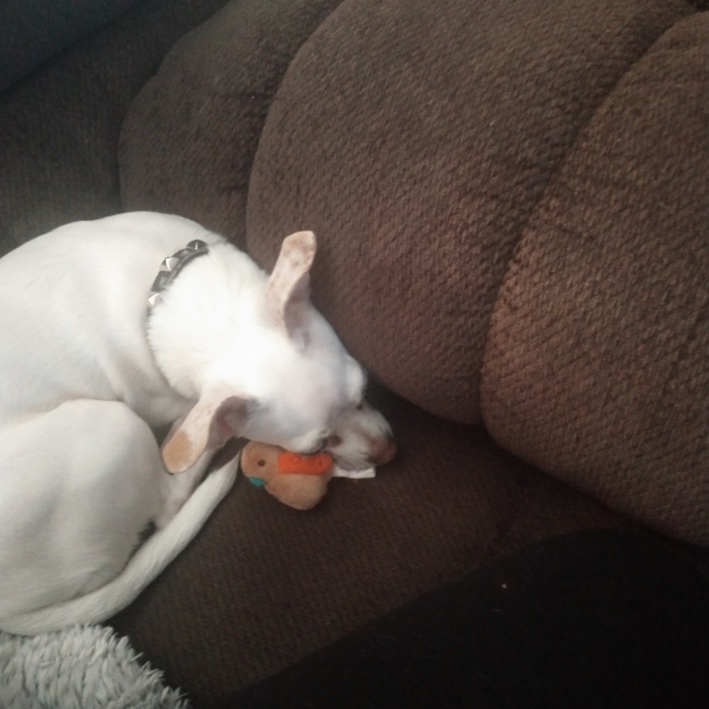 Meet your Posher, Brianna